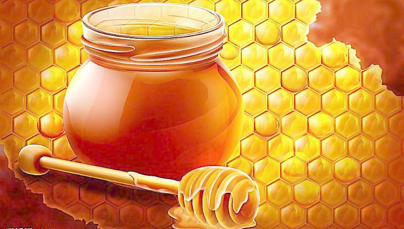 供应新西兰蜂蜜进口海运费多少？