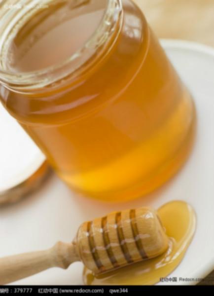 上海蜂蜜进口报关流程批发