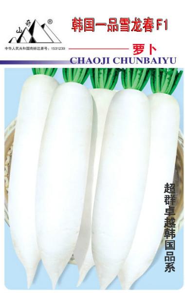 供应韩国杂交超级春白玉萝卜种子 