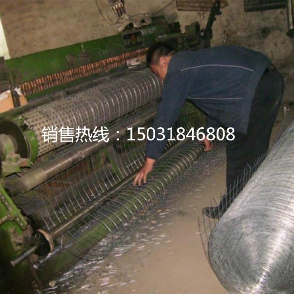 供应电焊网电焊网用途排焊网价格