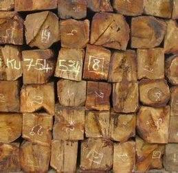 供应非洲木材进口代理
