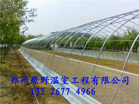 郑州市几字钢温室建造基地日光温室建造厂家