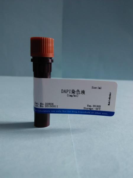 供应DAPI染色液（1mg/ml）NobleRyder D0804 染色剂 量大优惠 质量保证 现货供应 1ml