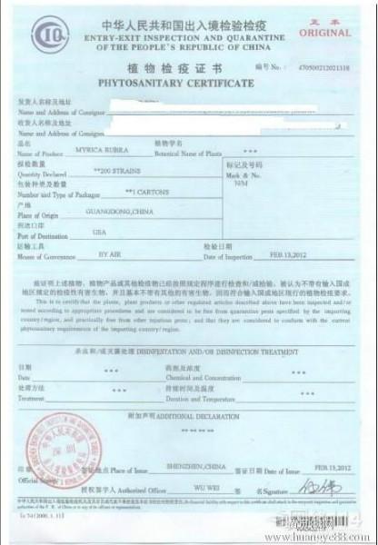 揭阳汕头潮州专业做植物检疫证书批发