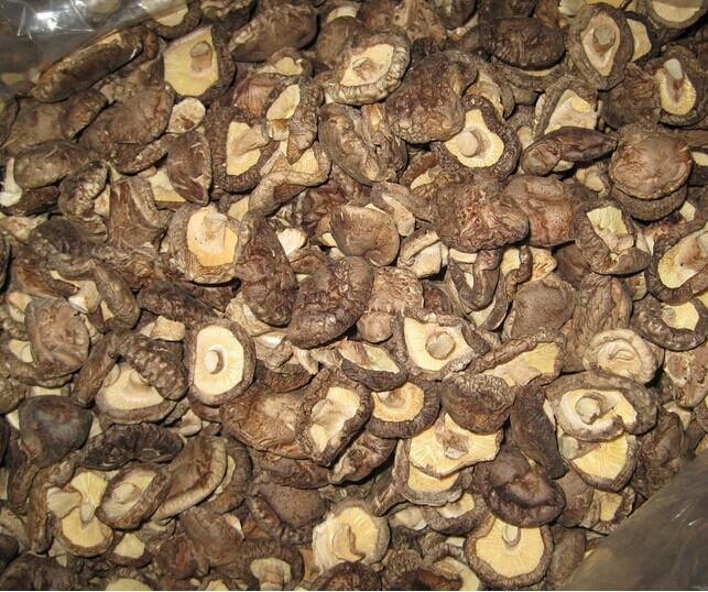供应椴木香菇批发干香菇、洋菇、香菇价格、茶花菇,春栽光面菇,面菇