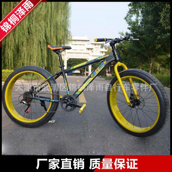 供应高级天津雪地自行车自行车成人图片