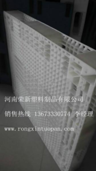 供应浙江塑料托盘厂台州塑料托盘基地厂家销售13673330774
